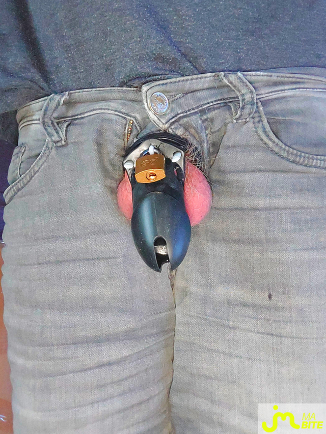 bites de Fleur de Lys