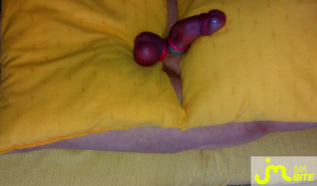 bites de Vxm&acirc;lebi46