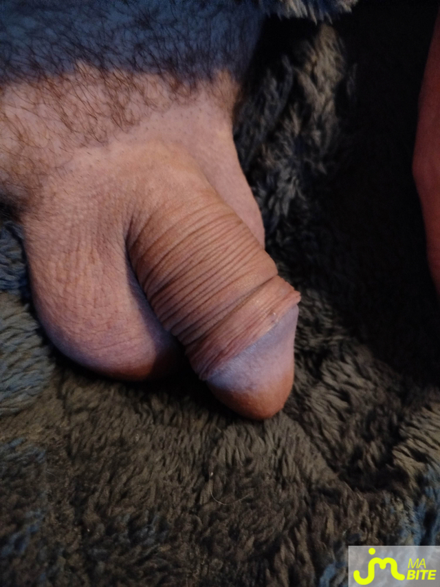 bites de Peyrat87470