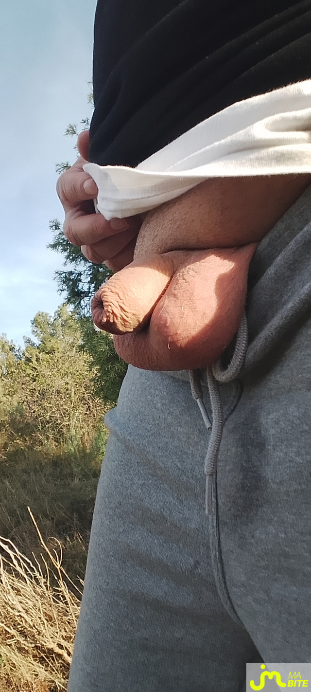 Photos de bites : Petite balade...