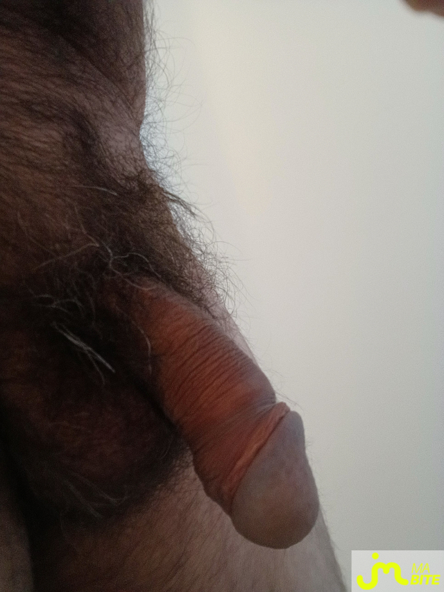 Photos de bites : Vacances autour de Qu&eacute;bec Une Femme pour s'en occuper ?