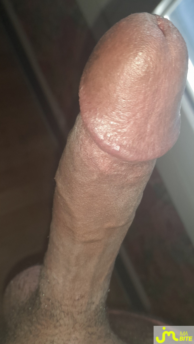 bites de Ericoup&eacute; 