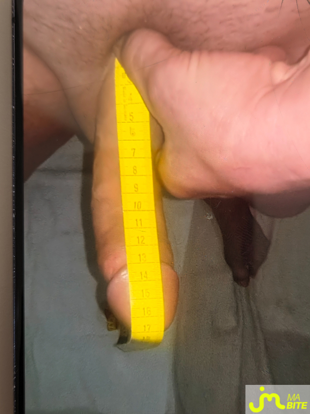 bites de Incognito14