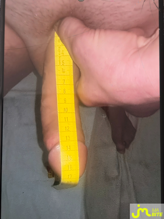 bites de Incognito14