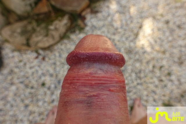 bites de pierrotdard