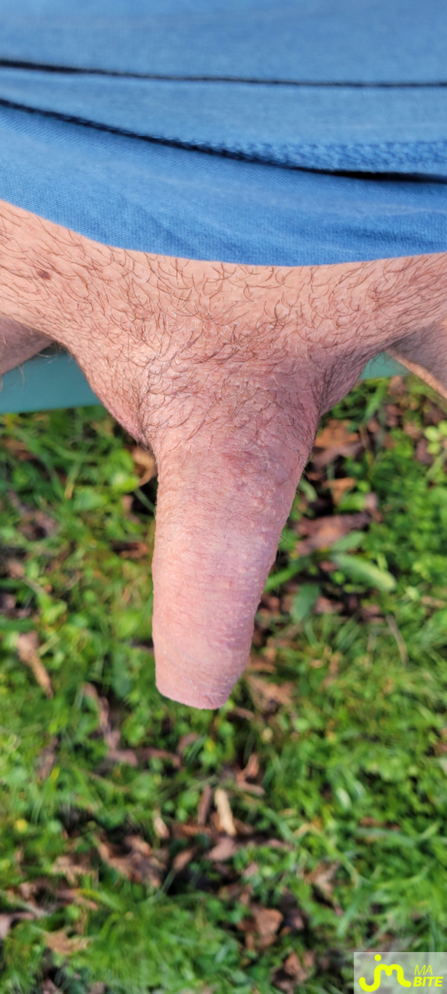 Photos de bites : Popol en petite forme