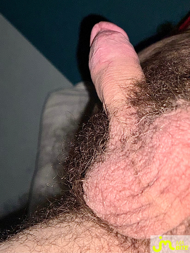 bites de Couplepoilu