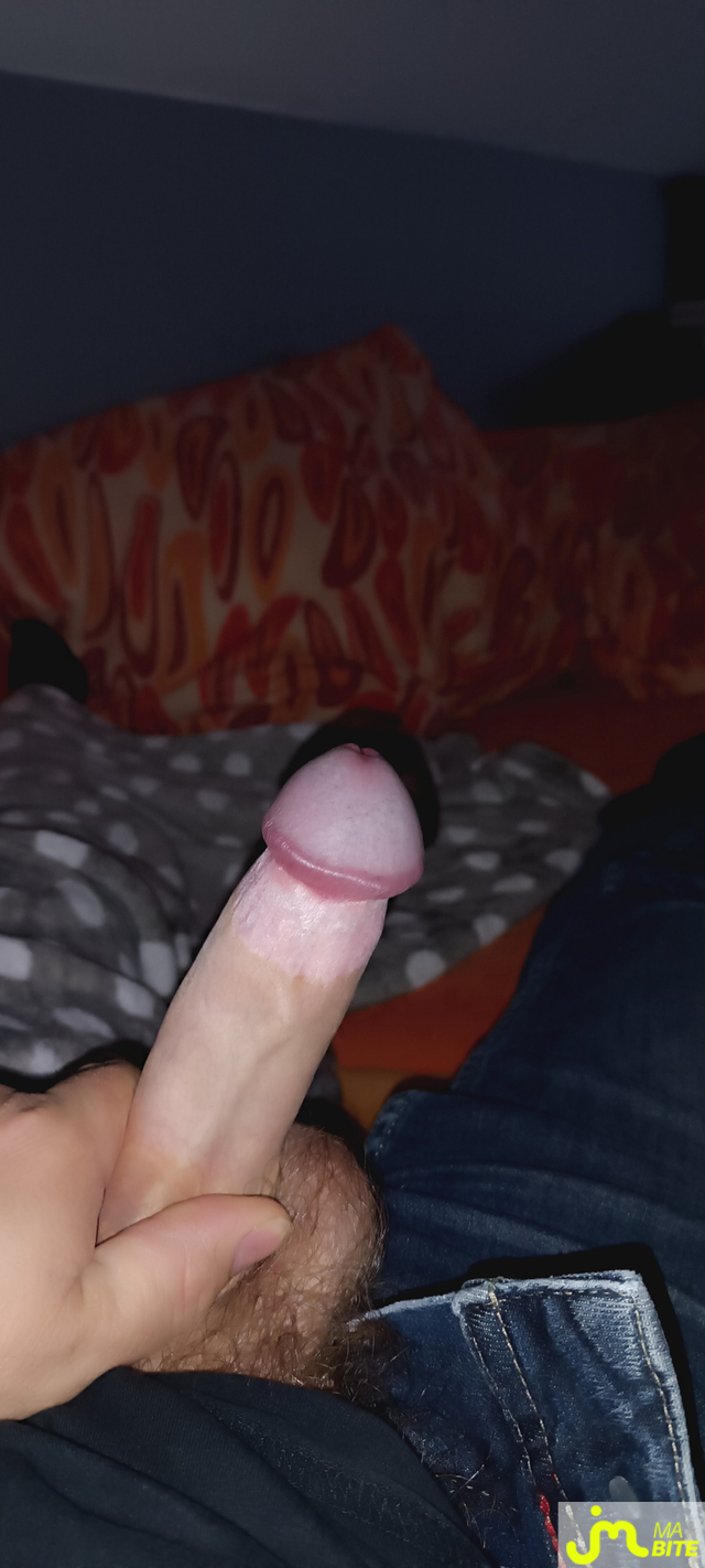 Photos de bites : Cherche lieu exhib Moselle 