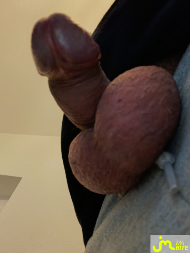 bites de Le Grand Houdini