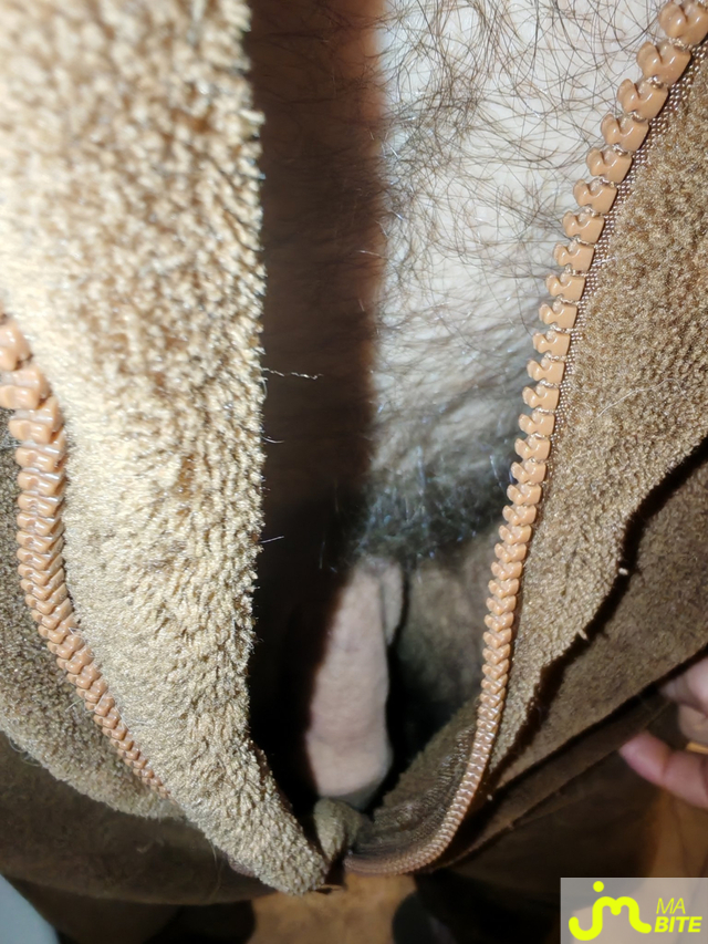 Photos de bites : Action ! Go ! Go ! Go ! 