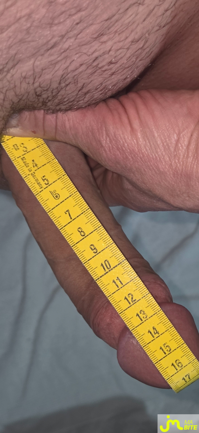 bites de Incognito14