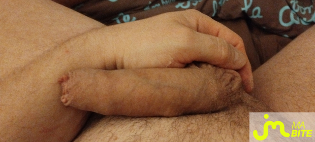 bites de Playerdream