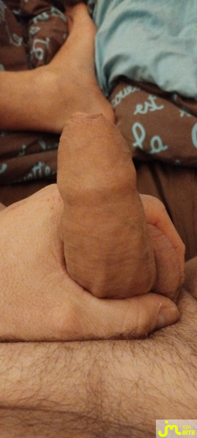 bites de Playerdream