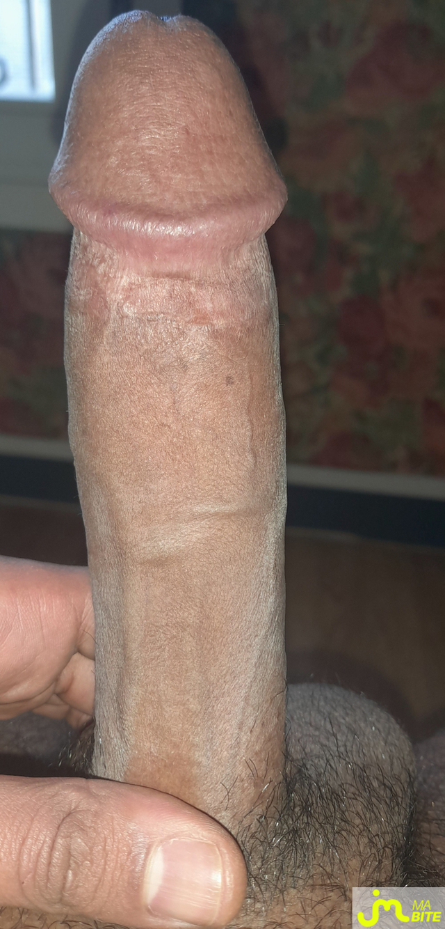 bites de Ericoup&eacute; 