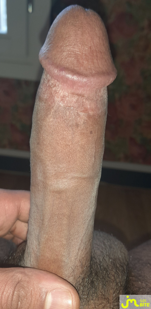 bites de Ericoup&eacute; 