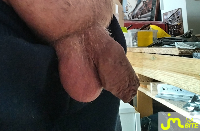 bites de ROSE -JASMIN 01