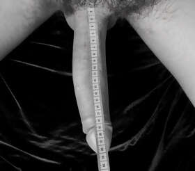 Photos de bites : Moi