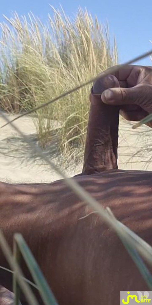 Photos de bites : MON SEXE 