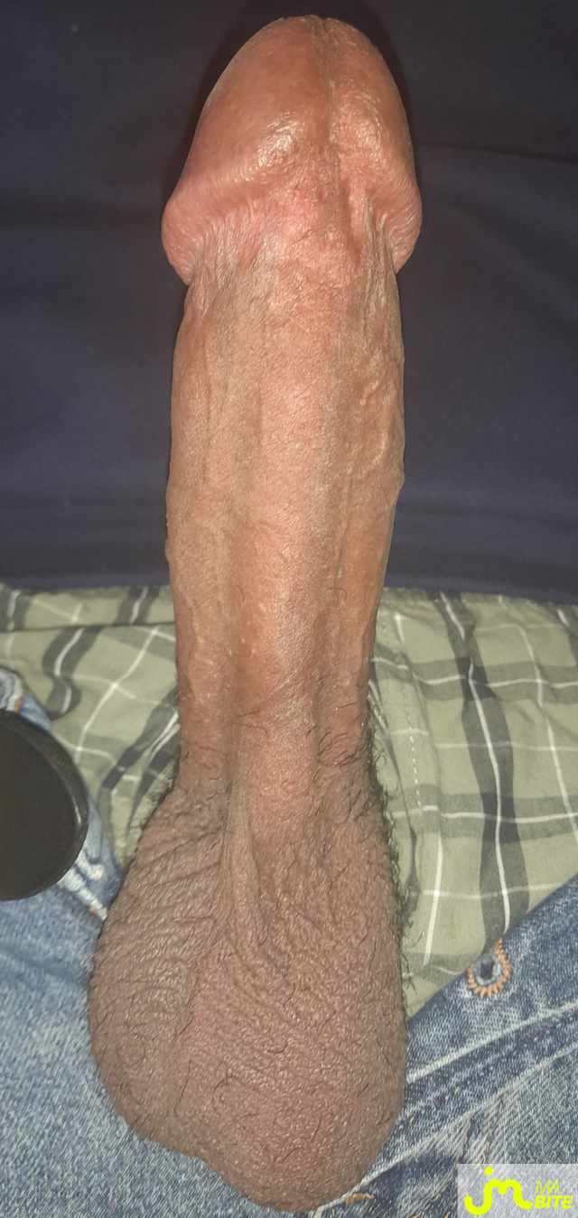 bites de Ericoup&eacute; 