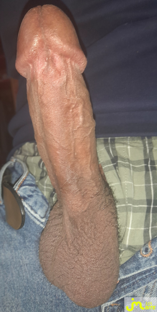 bites de Ericoup&eacute; 