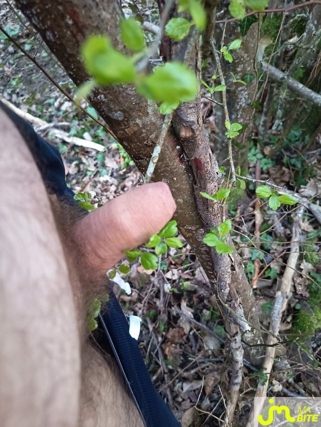 bites de biepicurieux57