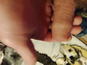 Photos de bites : Au calme..