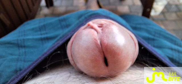 Photos de bites : Petit dej en ext&eacute;rieur - Juin 2025