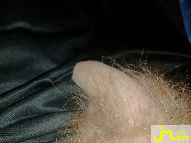 Photos de bites : Au repos bien m&eacute;rit&eacute; 