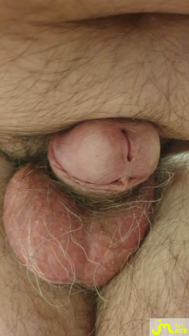 bites de Petitebite73