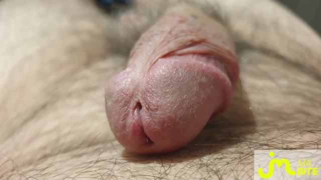 bites de Petitebite73