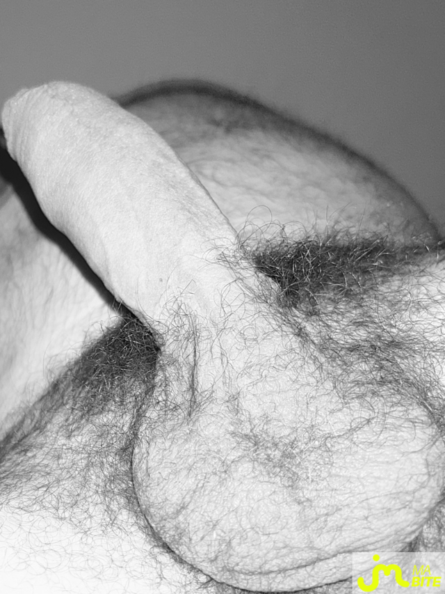 bites de Couplepoilu