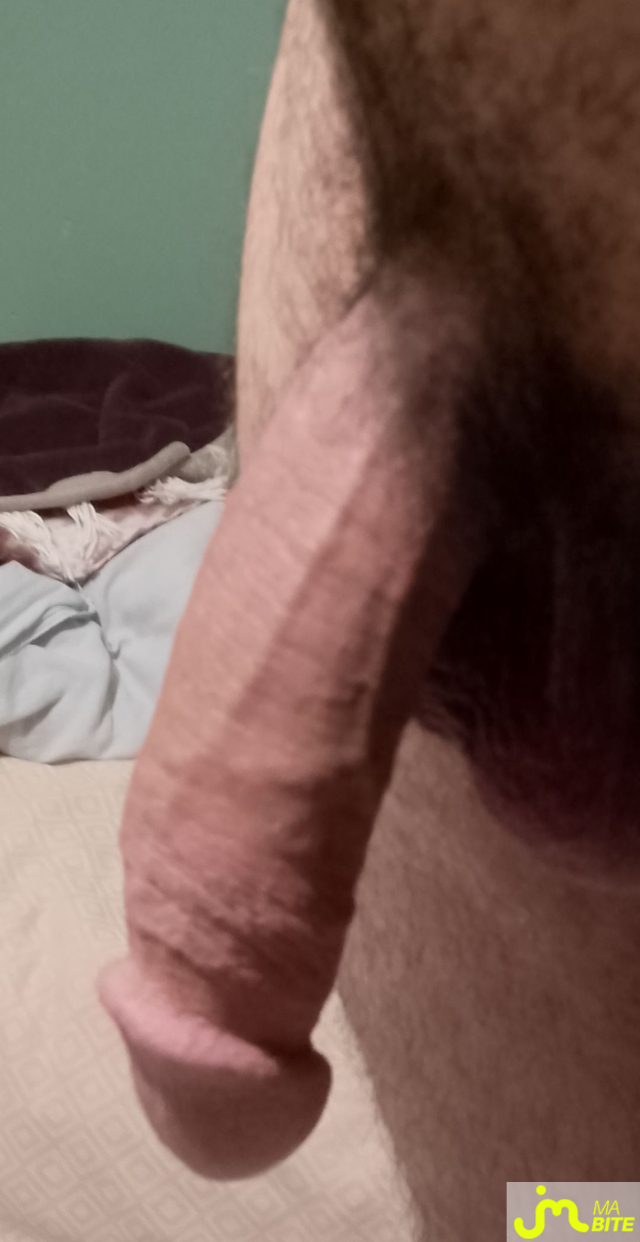 bites de stanleylubrick