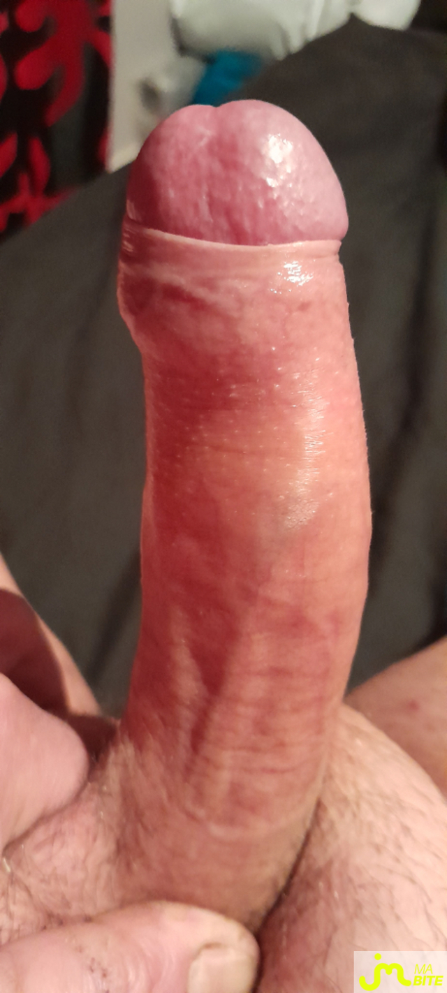 Photos de bites : 4eme