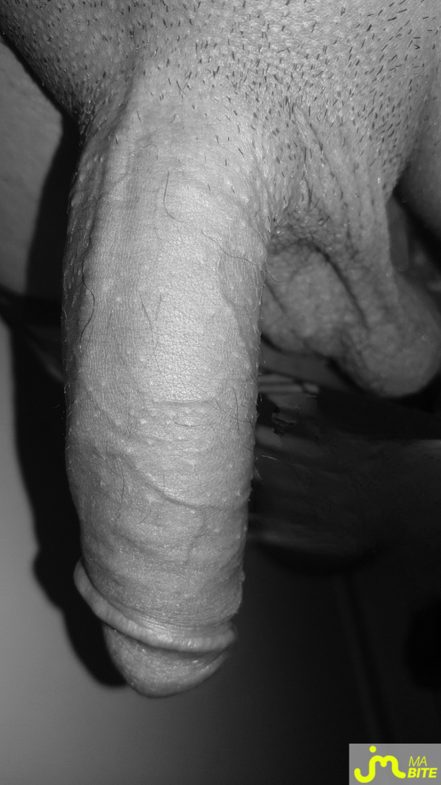 Photos de bites : Noir & blanc