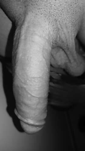 Photos de bites : Noir & blanc