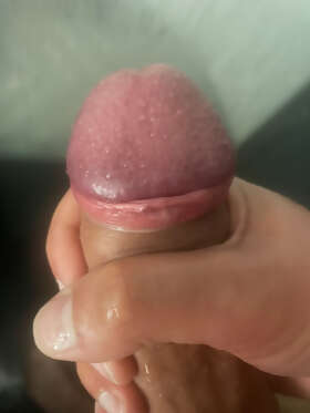 Photos de bites : &Eacute;carteur