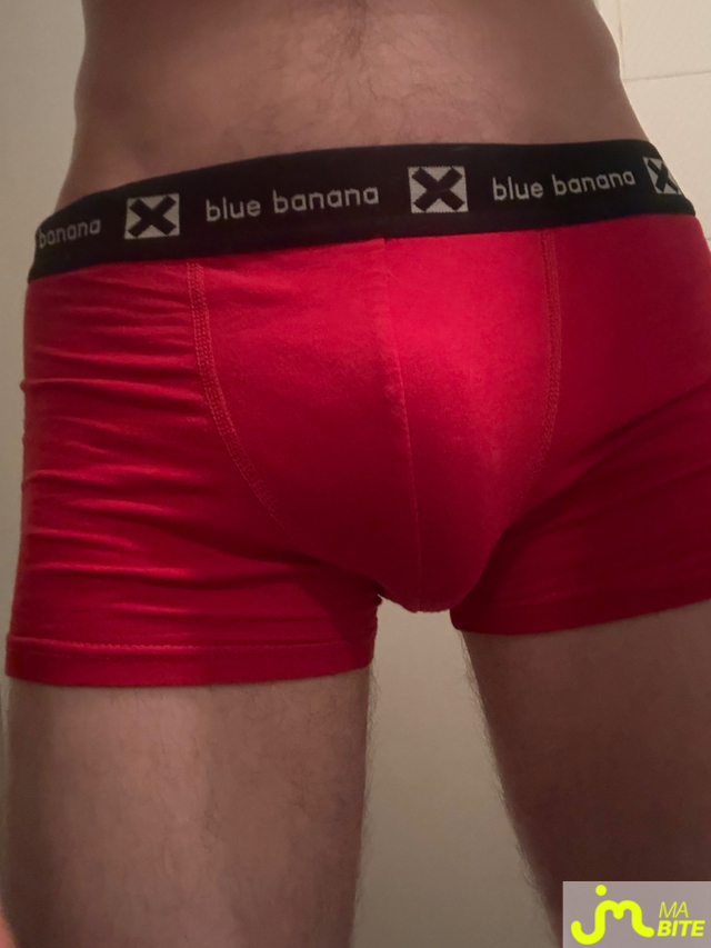 Photos de bites : L&rsquo;&eacute;volution 