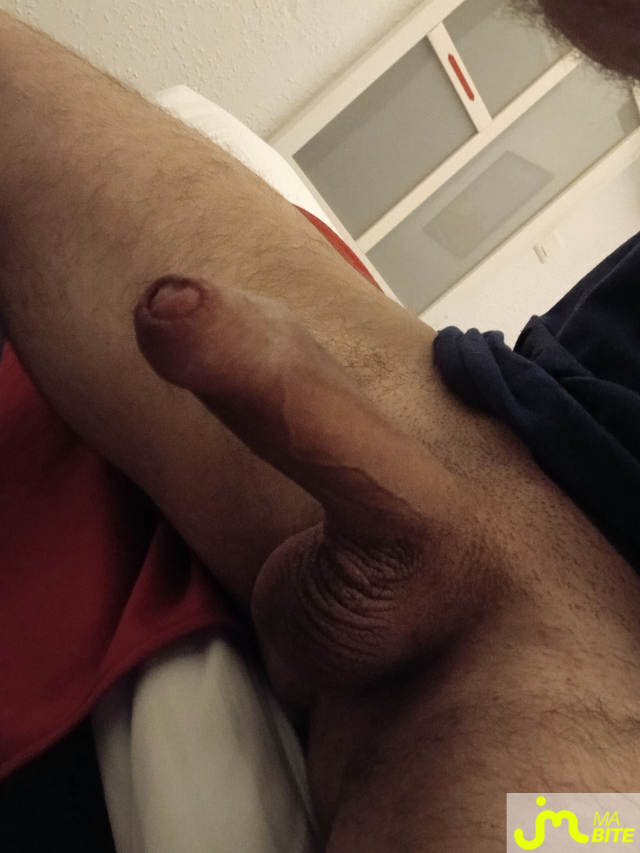 bites de Brun timide 01