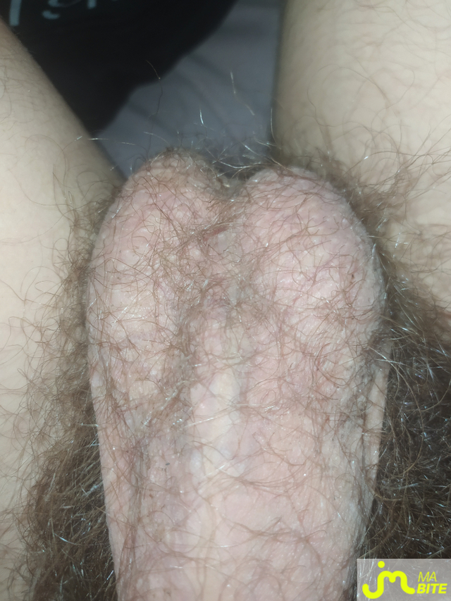 bites de Jaimelesteuch71