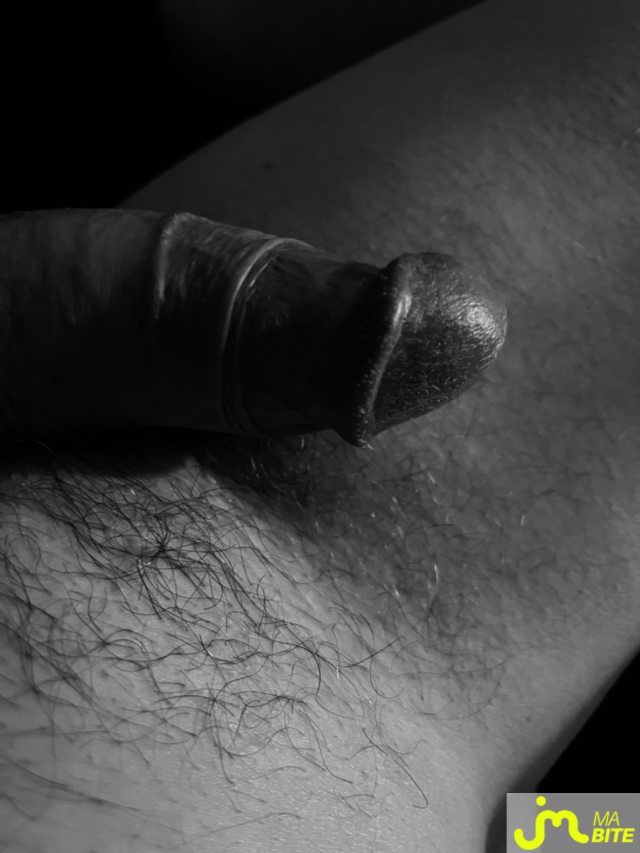 Photos de bites : Noir et blanc 