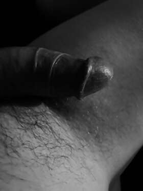 Photos de bites : Noir et blanc 