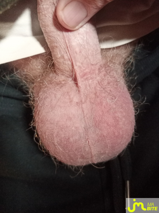 Photos de bites : Couilles poilues 