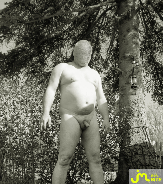 Photos de bites : le soleil est de retour