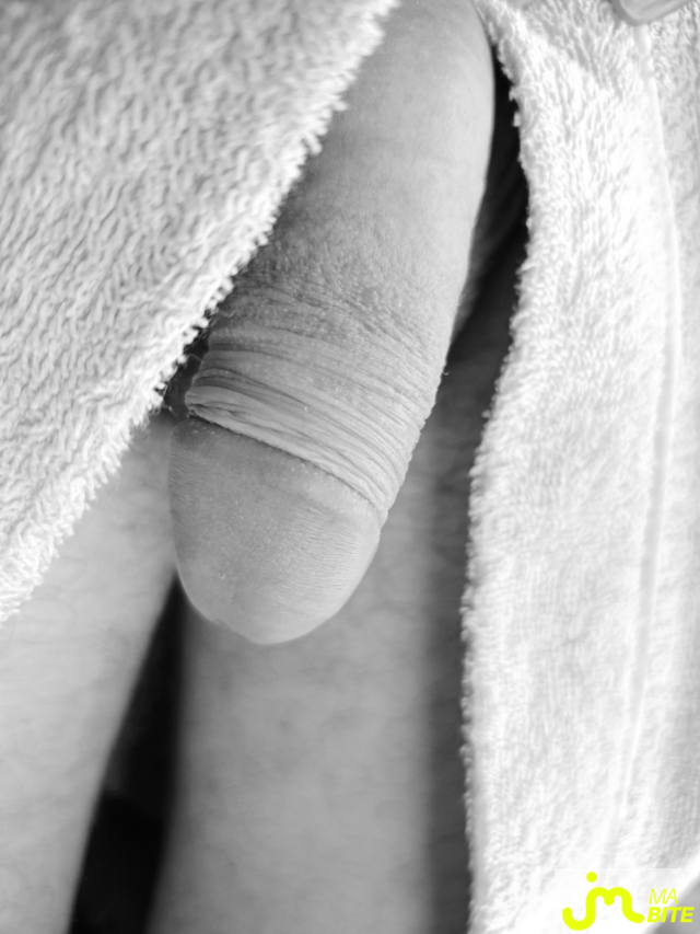 bites de Coucou_Ouep