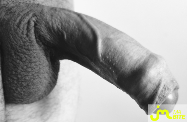 bites de Coucou_Ouep