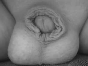 Photos de bites : En noir et blanc