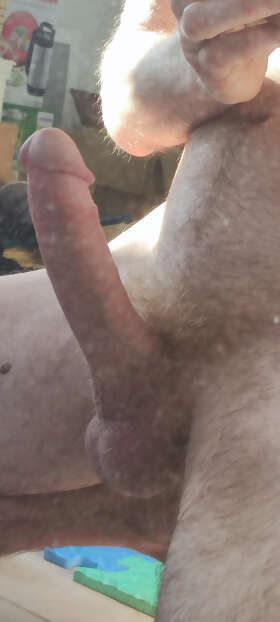 Photos de bites : Un avis objectif 