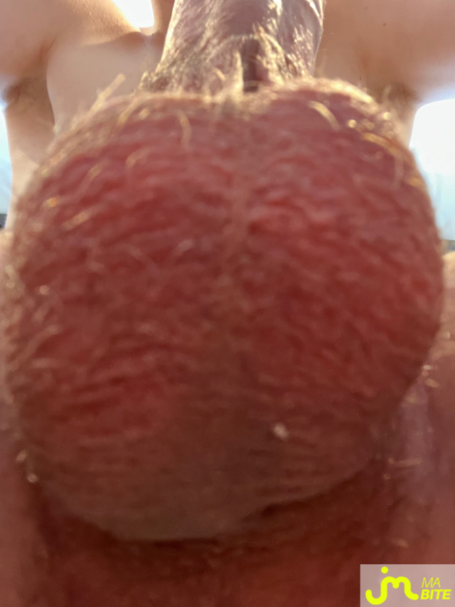 bites de Justinleptitpaff