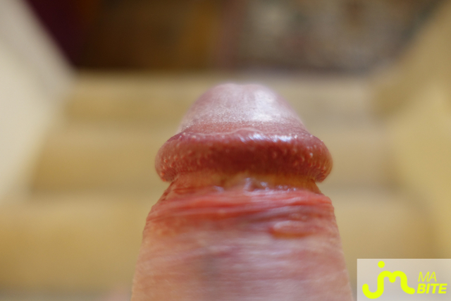 bites de pierrotdard