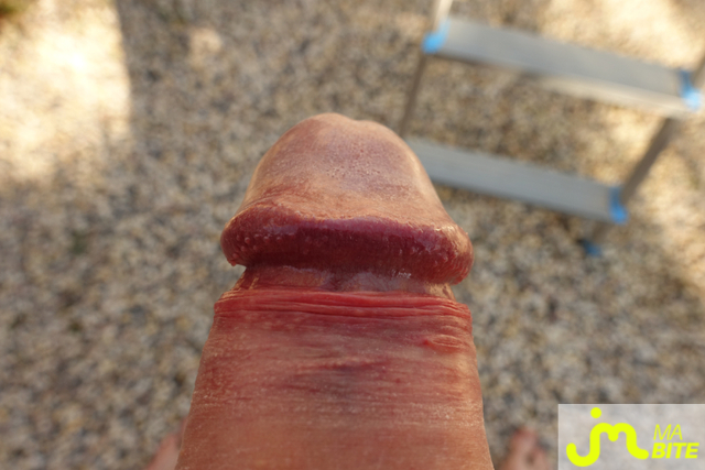 bites de pierrotdard